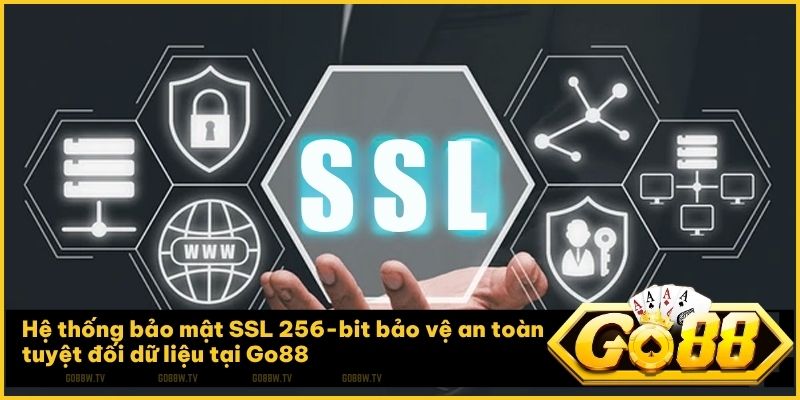 Go88 ứng dụng công nghệ mã hóa hiện đại nhằm bảo vệ tuyệt đối dữ liệu cá nhân